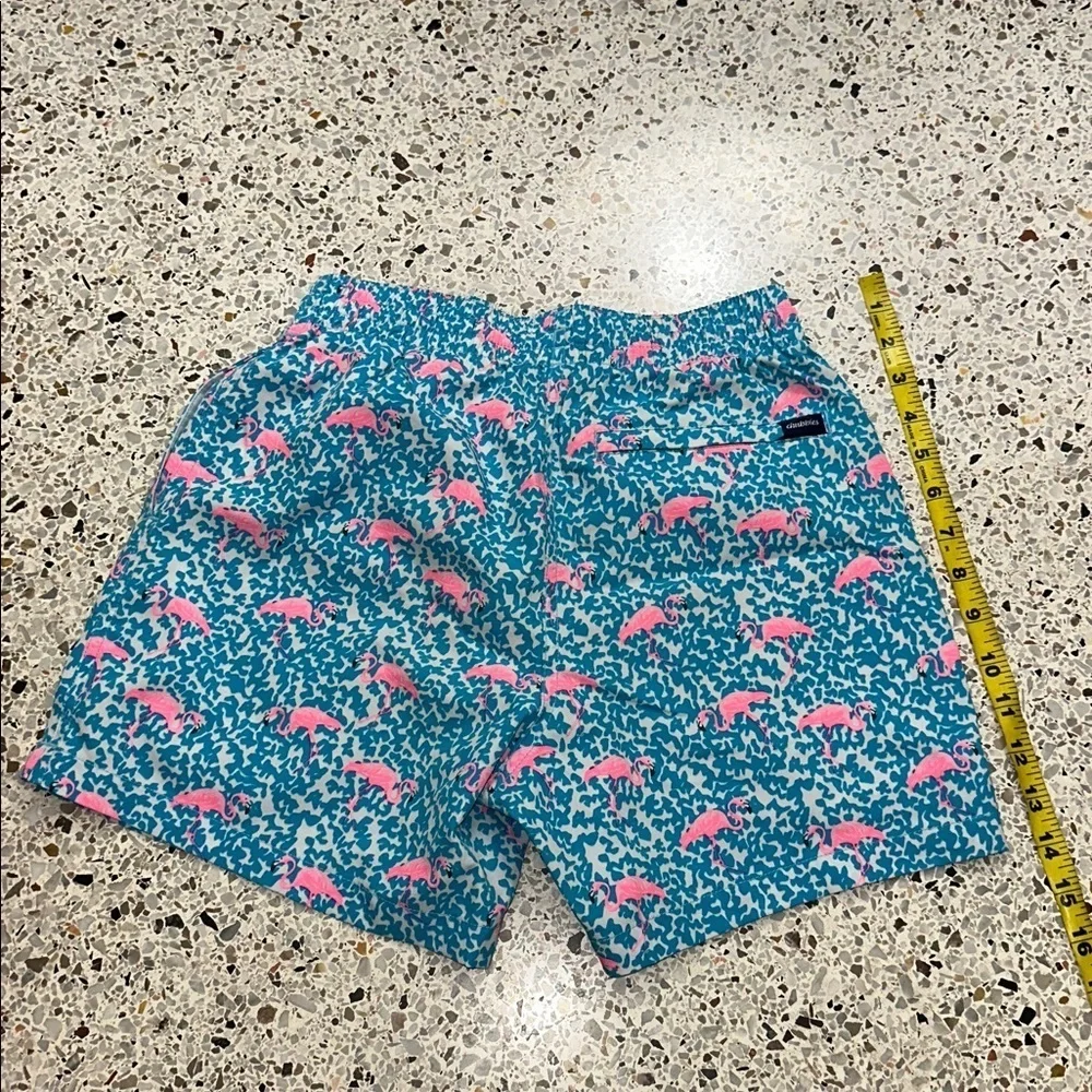 Chubbies The Domingos are for Flamingos pink turquoise trunks XS swim
